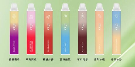 DIYA7500口一次性霧化器