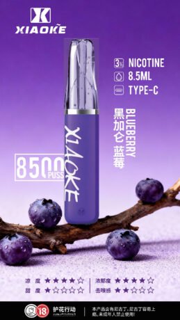 XIAOKE 8500口