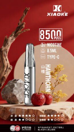 XIAOKE 8500口