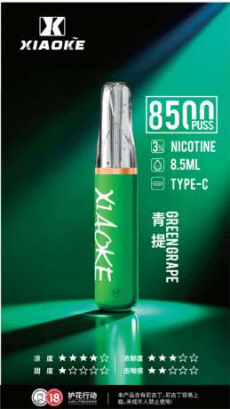 XIAOKE 8500口